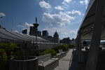 DSC_8661.JPG